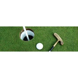 ¿Necesitas un Abogado por un DWI en un Carrito de Golf en Texas?